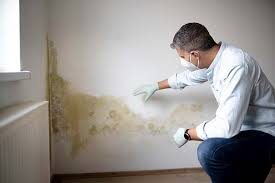 Best Mold Prevention Services  in Independence, LA